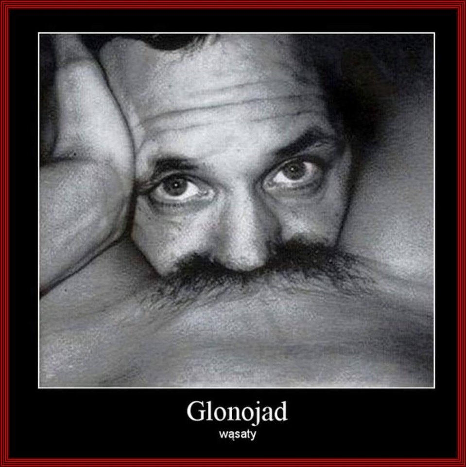 58754952_2303853136499775_4886605827072327680_n.jpg - sylwester1963bis