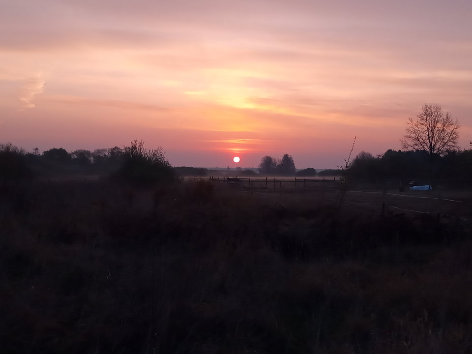 IMG_20190426_054830.jpg - WMoD666