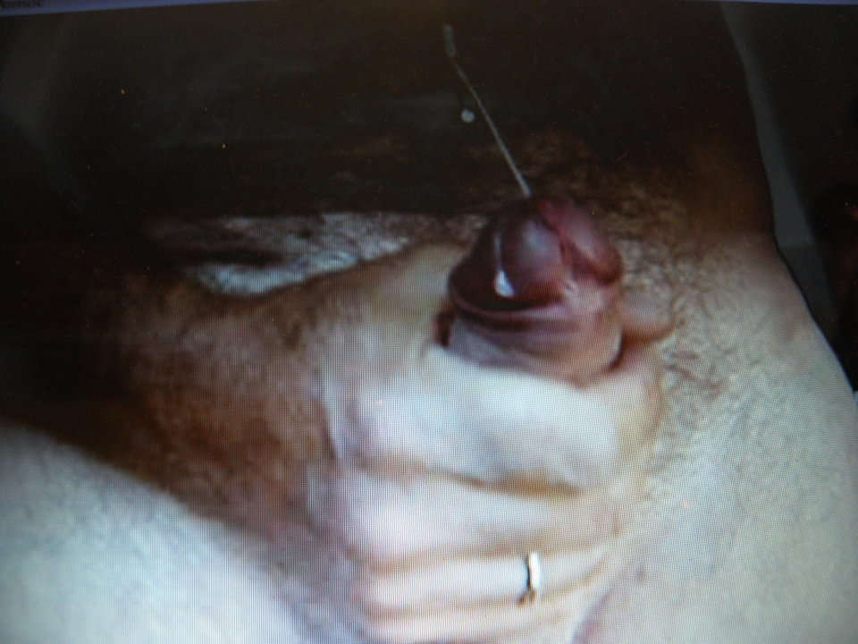 P9290212.JPG - jamnik7522