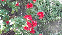 20190420_154430.jpg