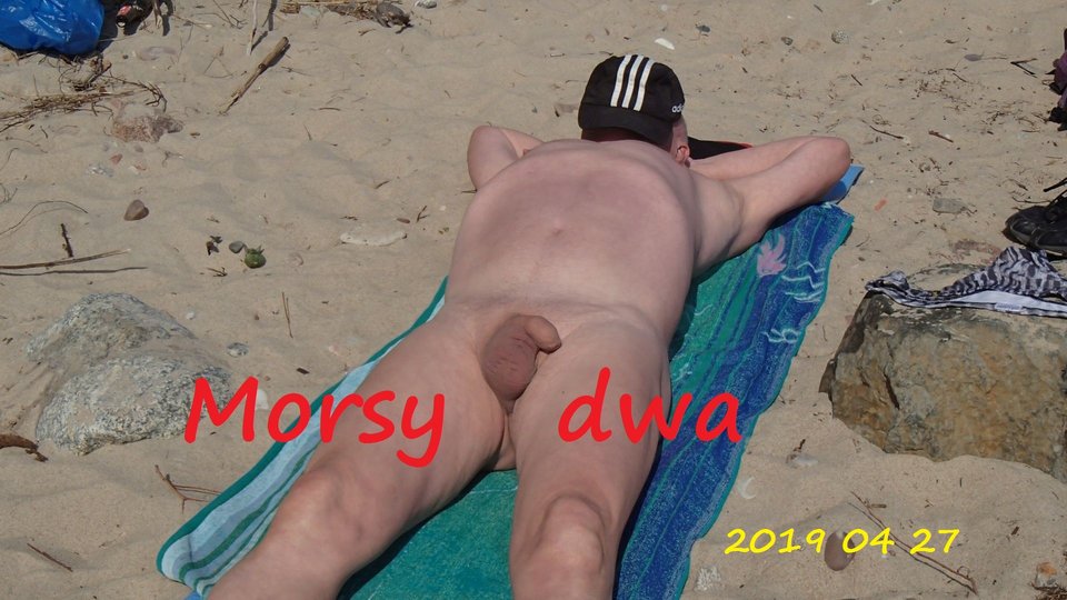 Plaża. - Morsy_dwa