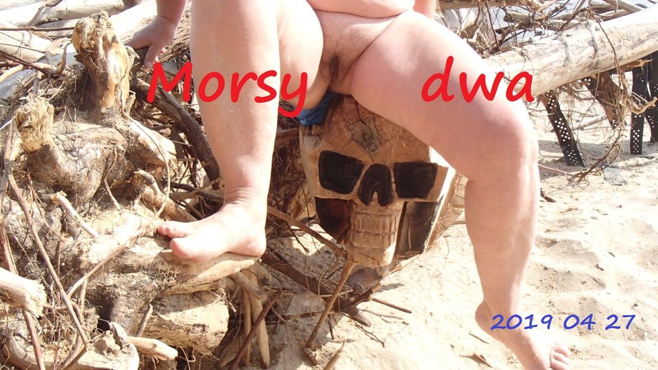 Plaża - Morsy_dwa