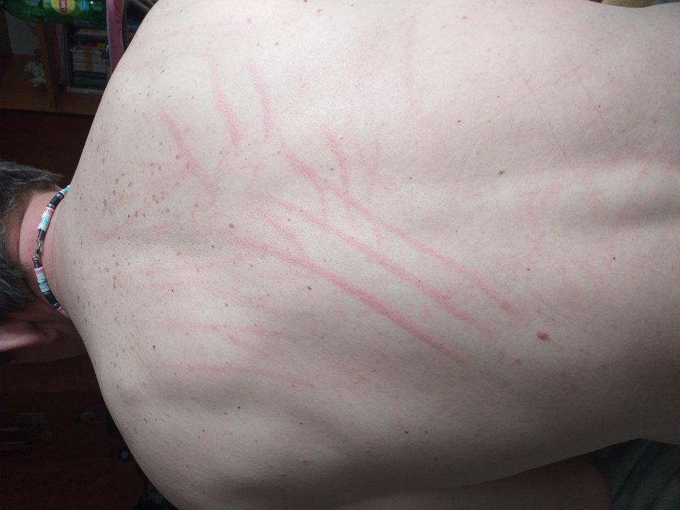 20190429_101502.jpg - lulu0006