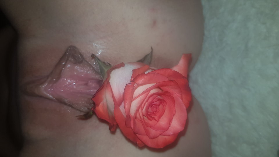 20190204_210543.jpg - bos31