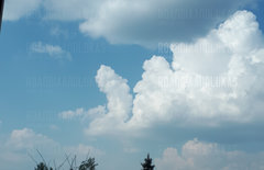 Głodnemu chleb na myśli :-)