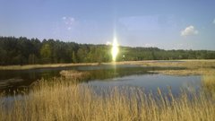 WP_20190426_013[1].jpg