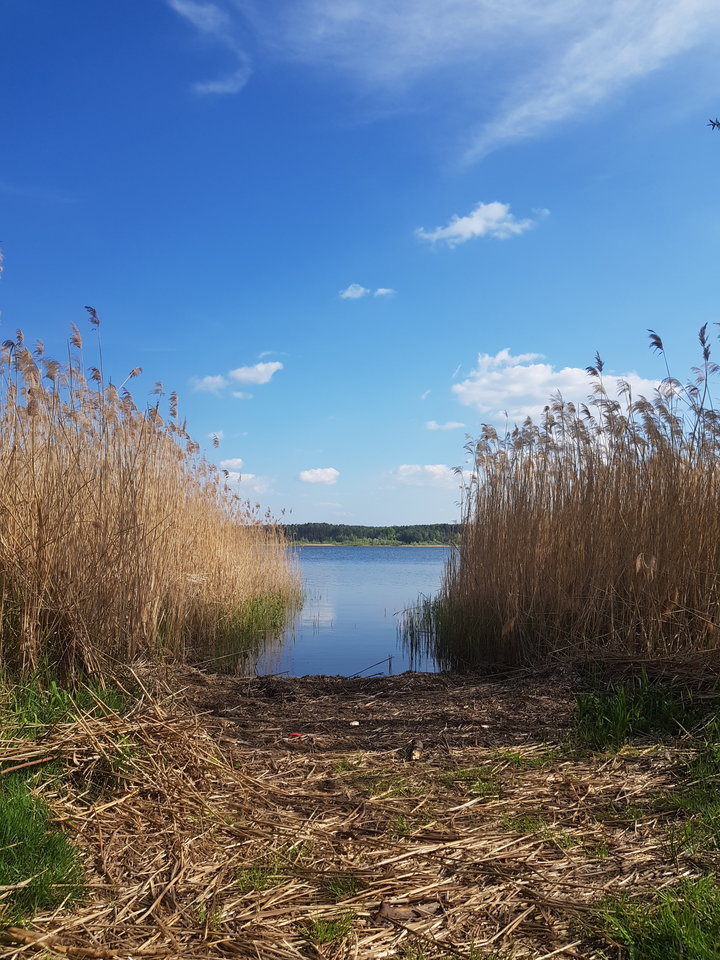 20190501_163923.jpg - Puszysta197676