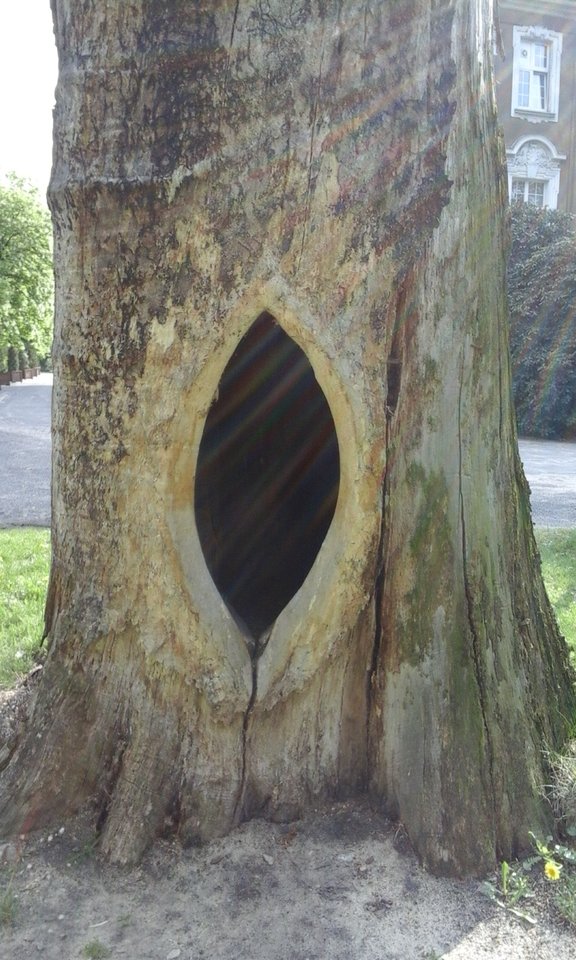 20190502_163942.jpg - jak2109