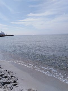 IMG_20190501_120955.jpg