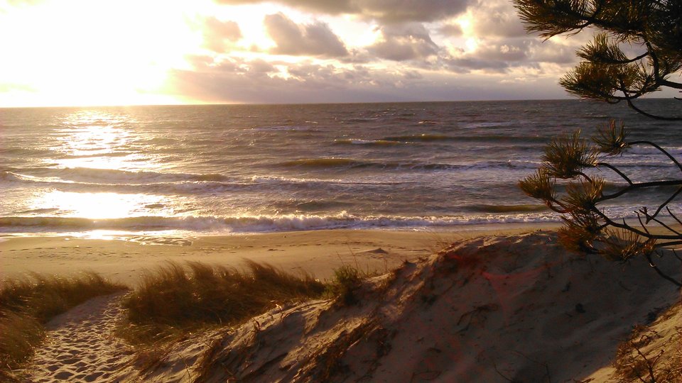 DSC_0371.JPG - gg1975