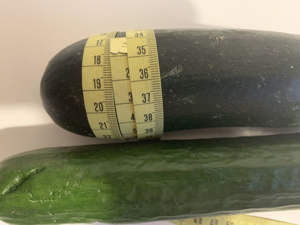 IMG_0987.JPG - hedonistawroclaw