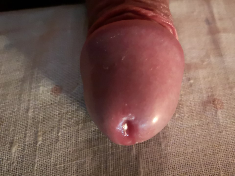 IMG_20190503_235243.jpg - Bazyl47