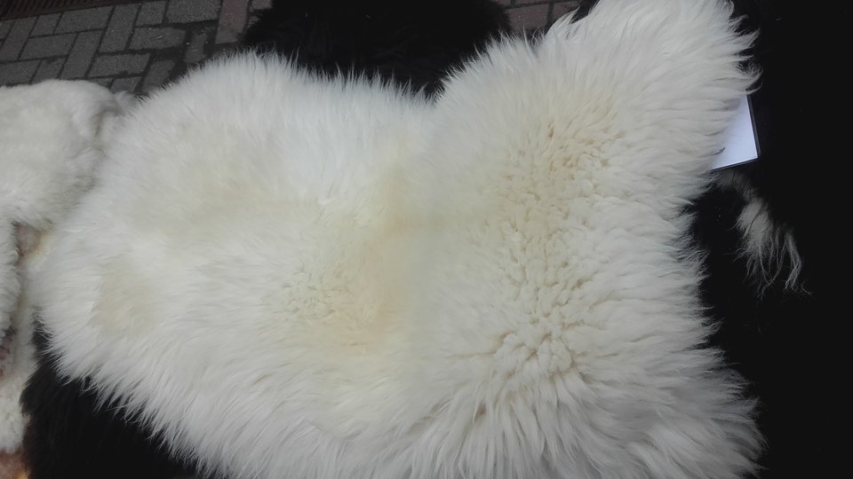 20190504_182411.jpg - karlo999