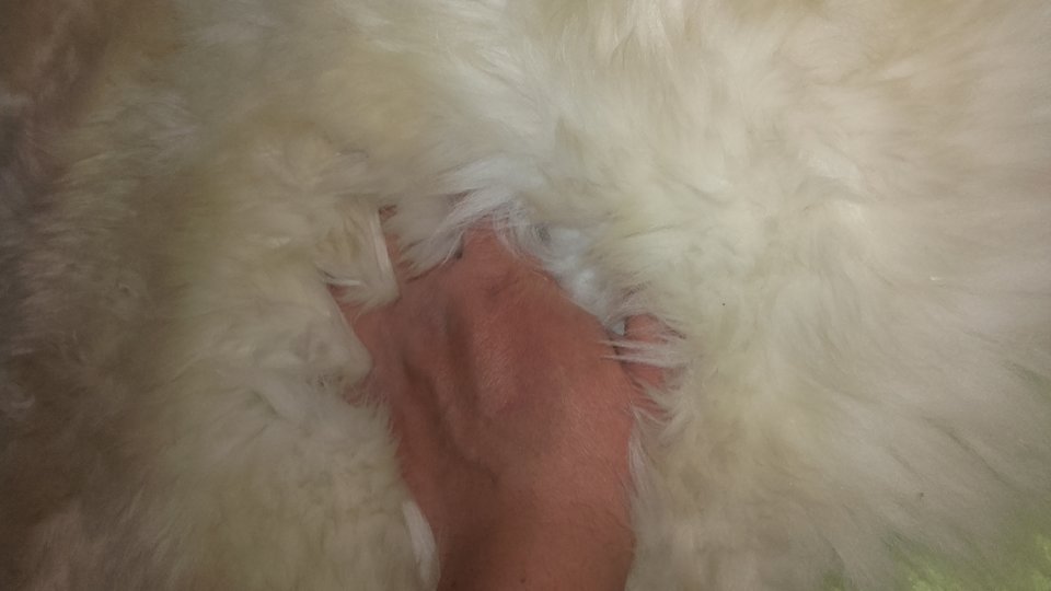 20190504_210759.jpg - karlo999