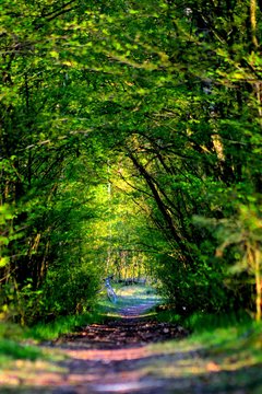 Mój niebieski rowerek.jpg