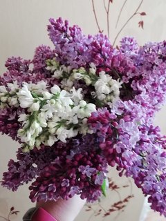 IMG_20190505_170842.jpg