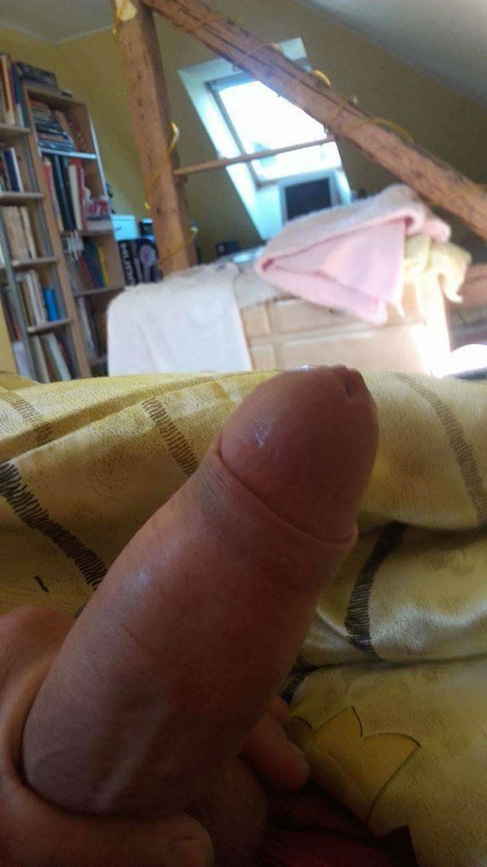 received_1530837563643308.jpeg - Tygrysek66666