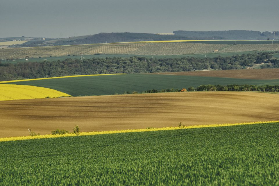 ziemia w paski - marquiz