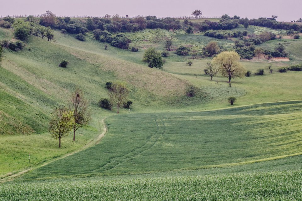 ponura wiosna - marquiz
