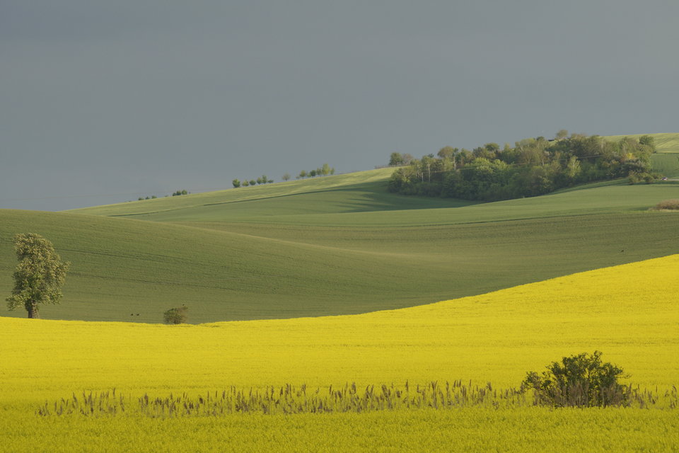 a na polach wiosna hasa - marquiz
