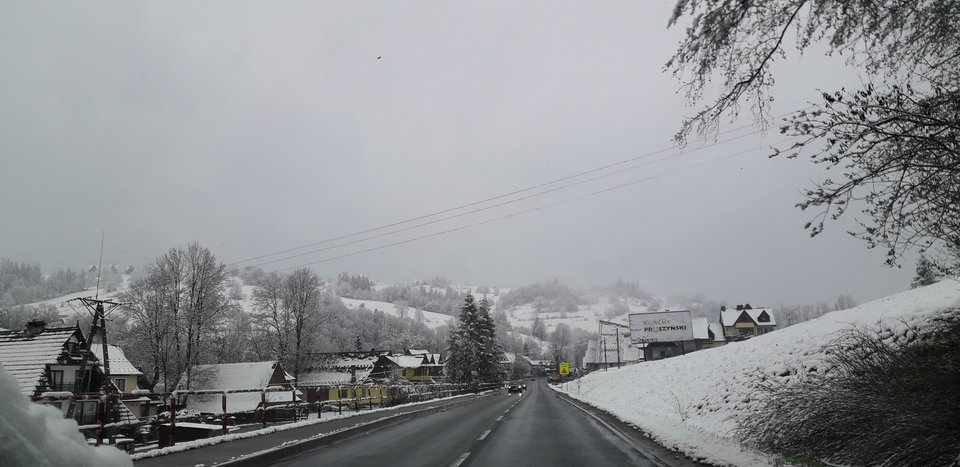 20190506_073259.jpg - tropiciel123