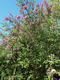 20190422_145645.jpg