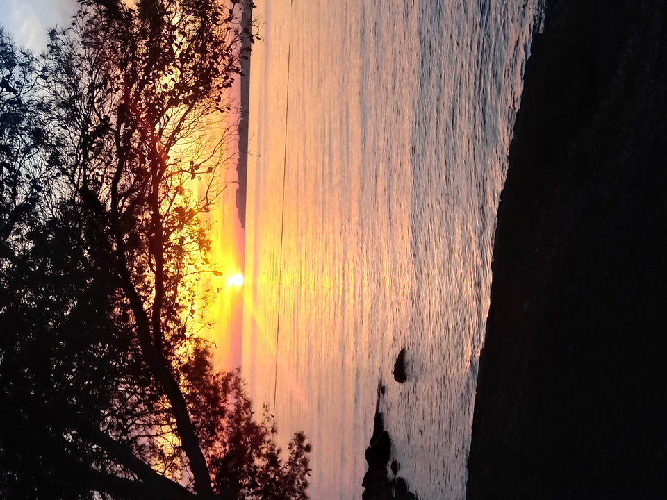 20190427_200309_HDR.jpg - bartekkra766