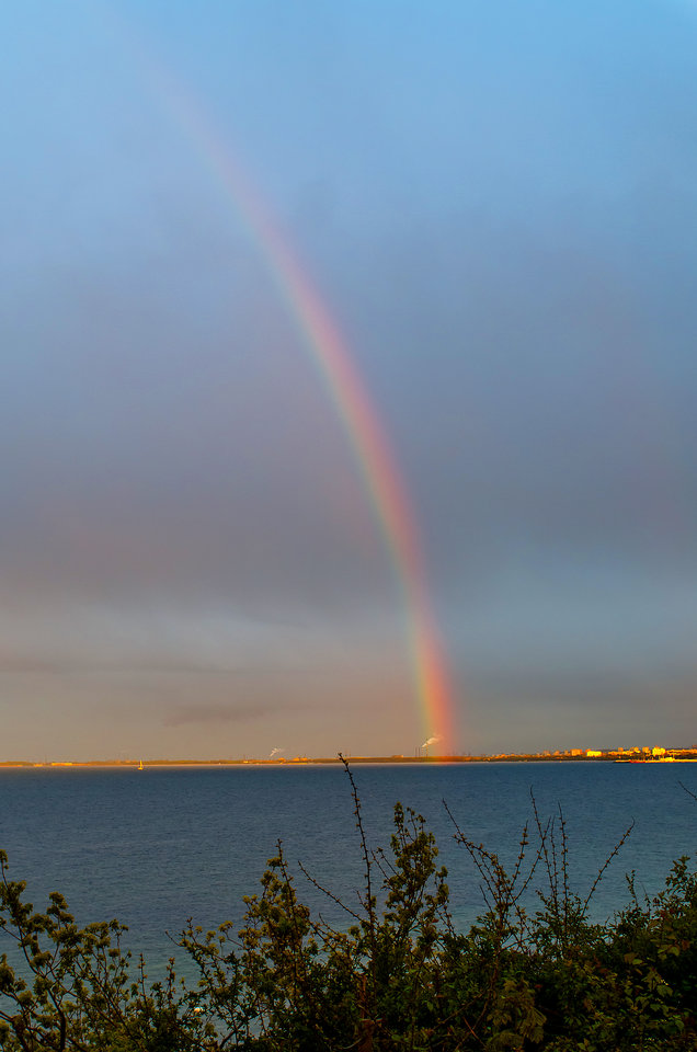 Brakuje tylko jednorożca ;) - mystic