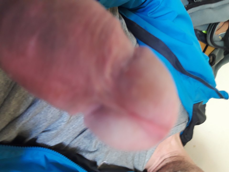 15571467088992931618593158429925.jpg - Lolek2018