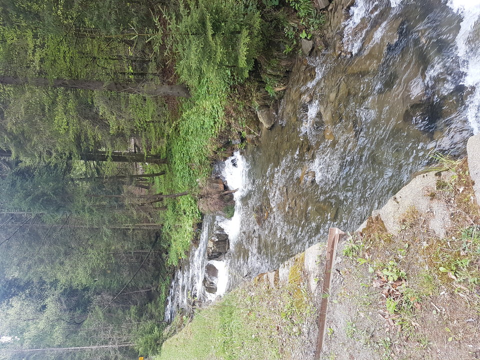 20190504_102823.jpg - onaonmalopolska