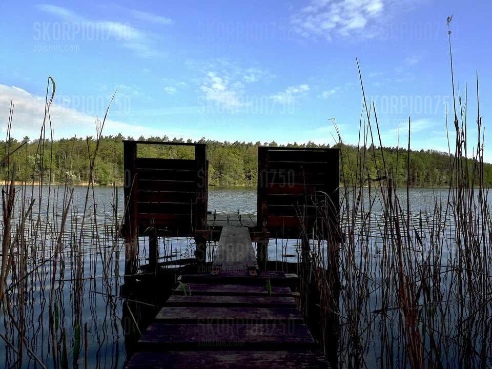 IMG_20190507_090226_066.jpg - Skorpion750