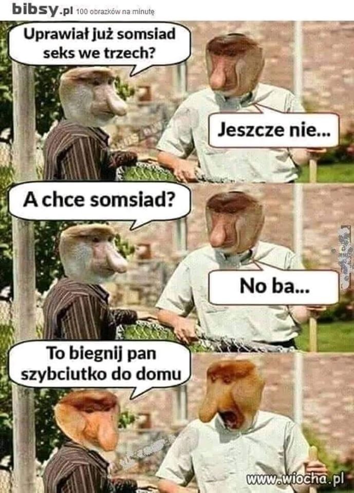 59917897_138183183965433_2186820549089427456_n.jpg - sylwester1963bis