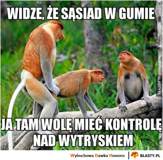 widze-ze-sasiad-w-gumie_2017-10-21_09-36-32.jpg - Violka734567_8