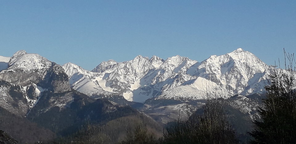 20190508_184147.jpg - tropiciel123