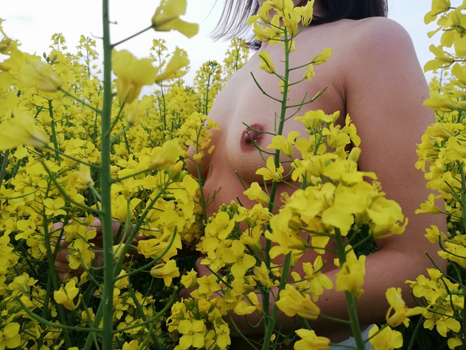 IMG_20190508_192935.jpg - Pedro_kucyk