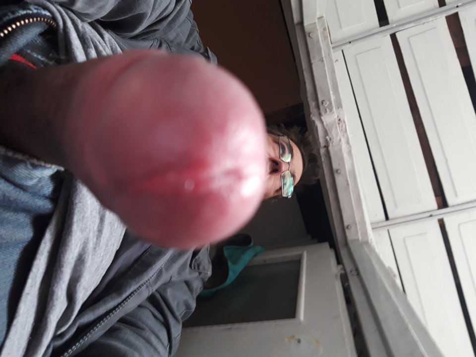 15574076846693910267243294138752.jpg - Lolek2018
