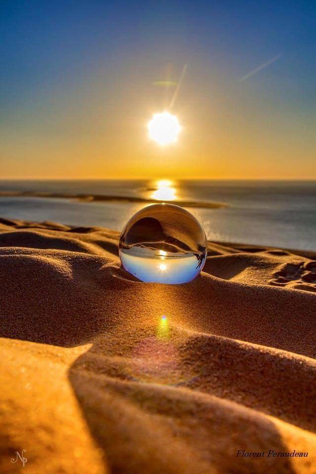 FB_IMG_1557244613409.jpg - sasanka75