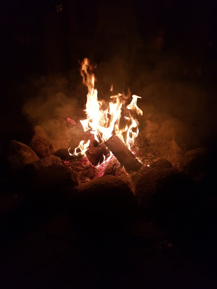 20190510_230713.jpg - parpolaca