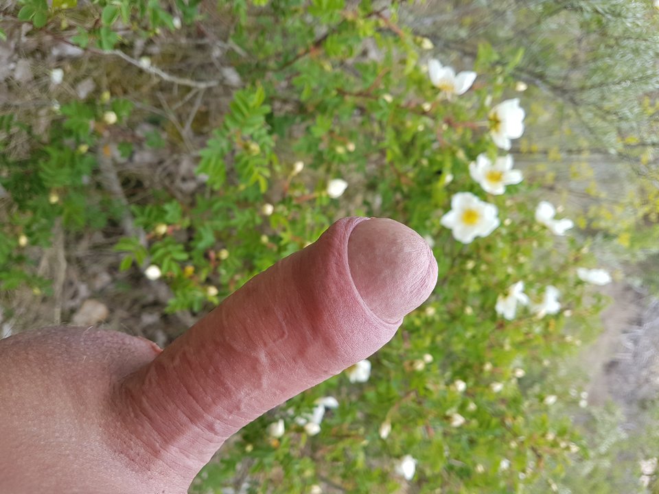 20190511_134330.jpg - Niesforny69