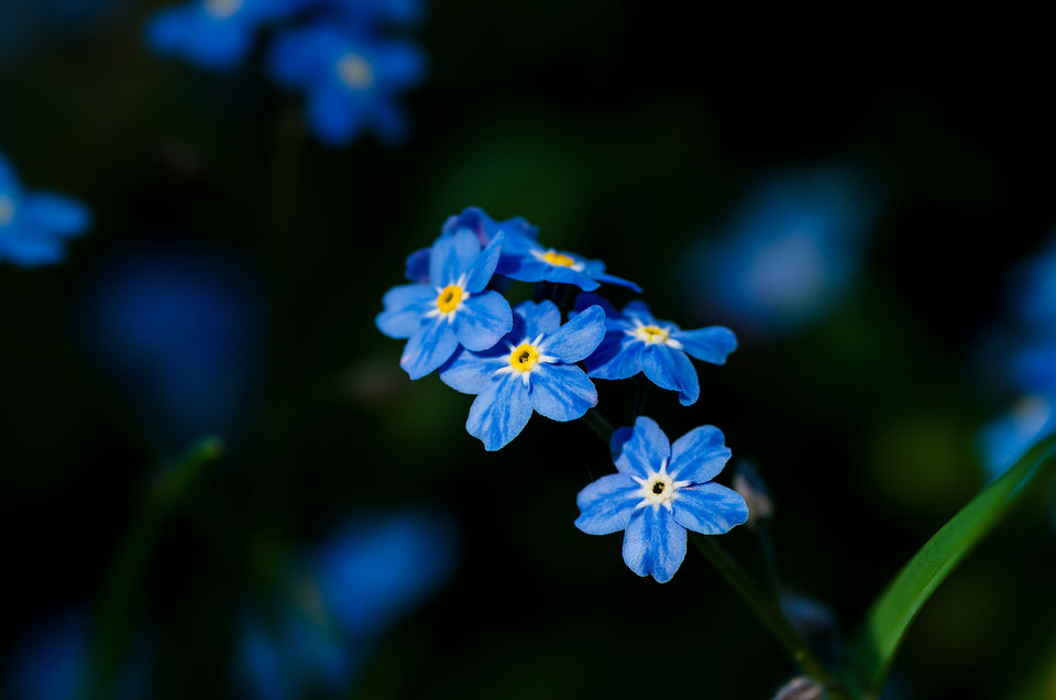 Małe a cieszy - mystic