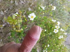 20190511_134307.jpg