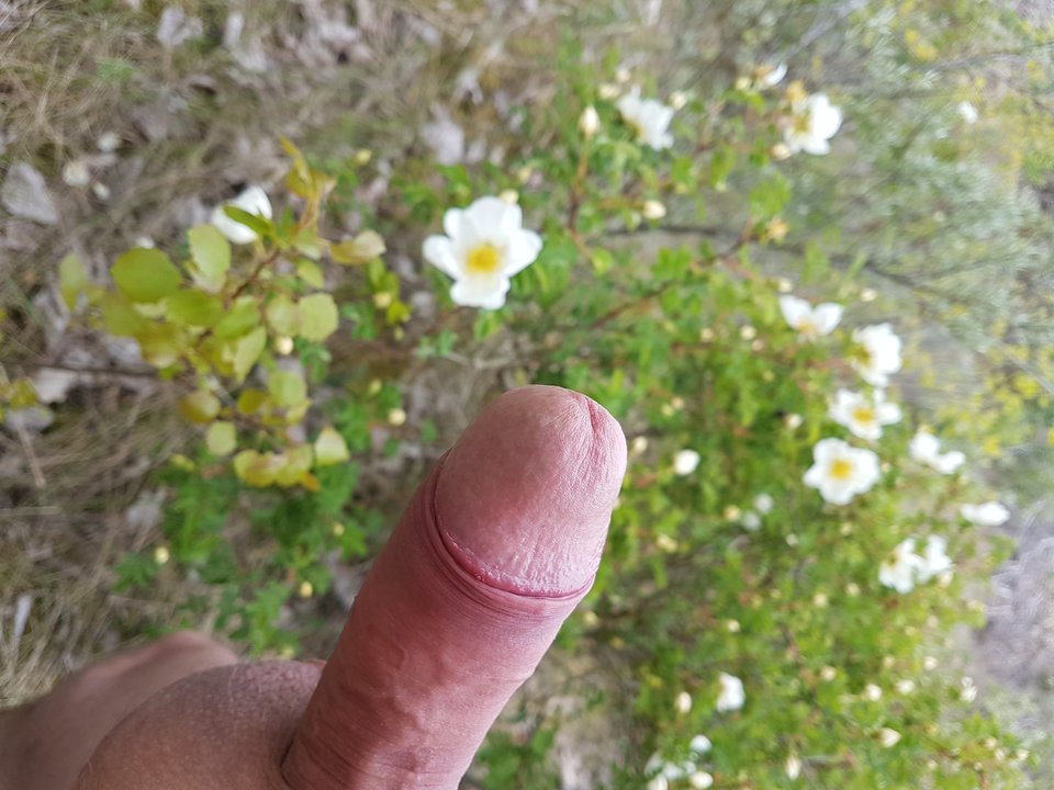 20190511_134307.jpg - Niesforny69