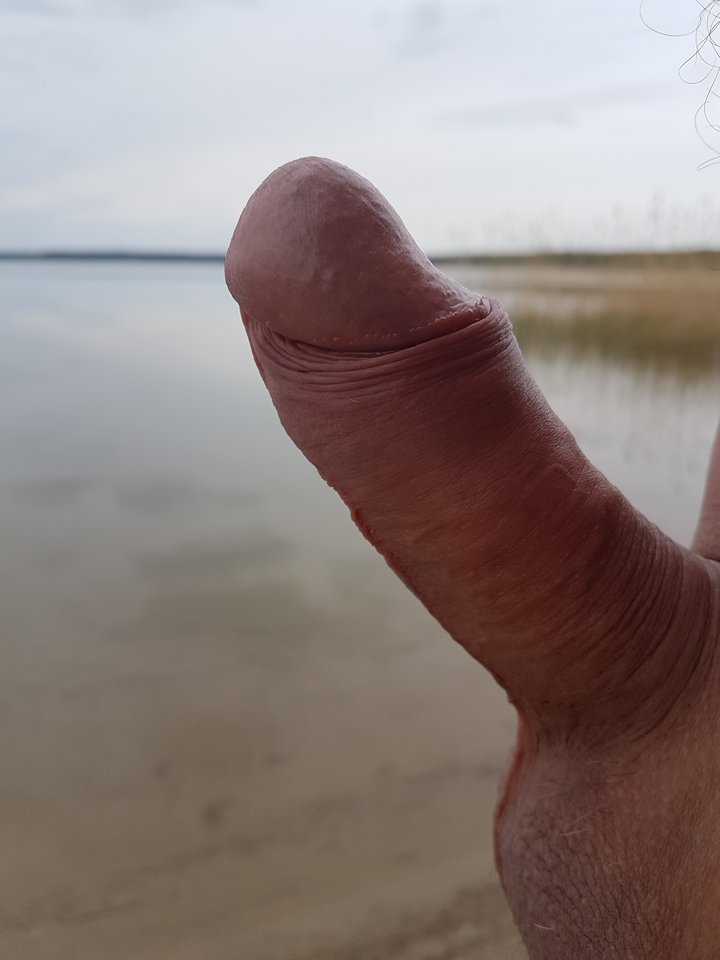20190511_131856.jpg - Niesforny69