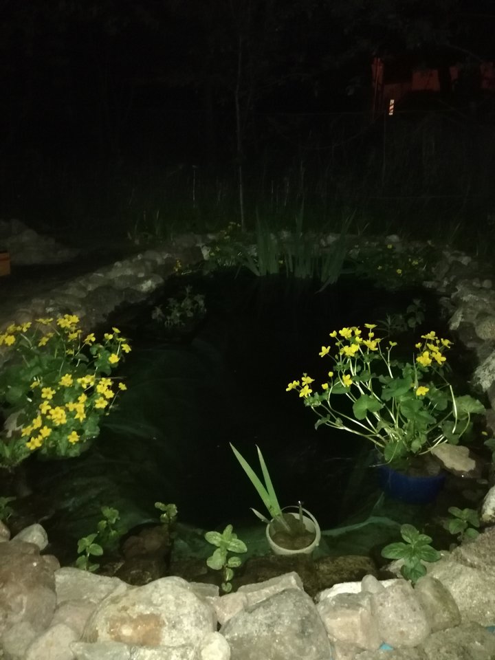 IMG_20190512_010121.jpg - krzysiekwarmia