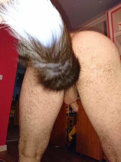 received_1540629912736558.jpeg
