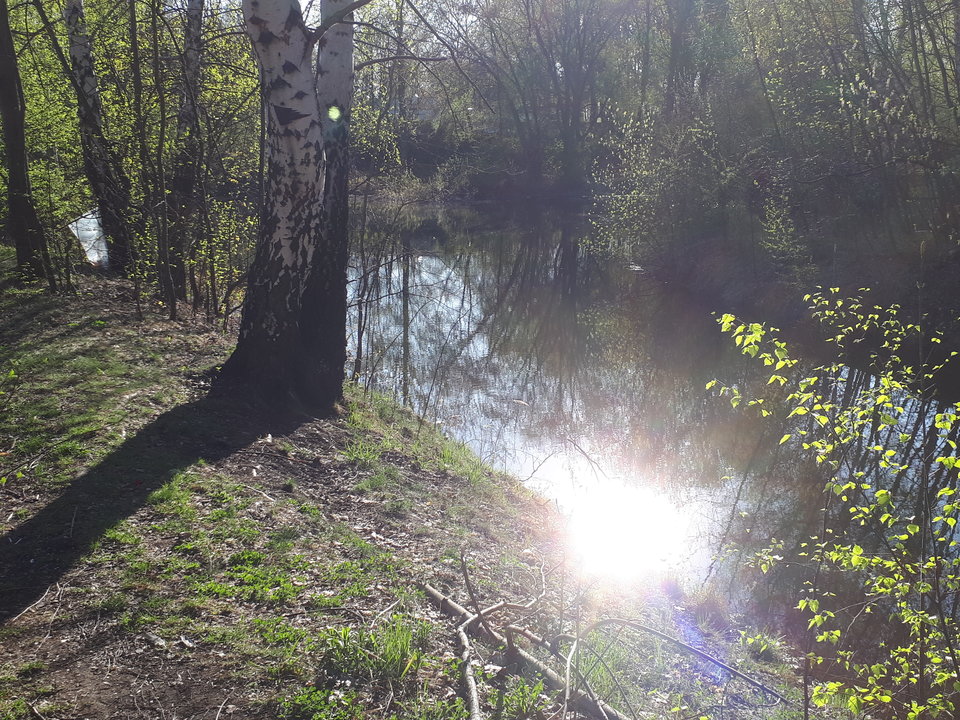 20190419_172503.jpg - gg1975