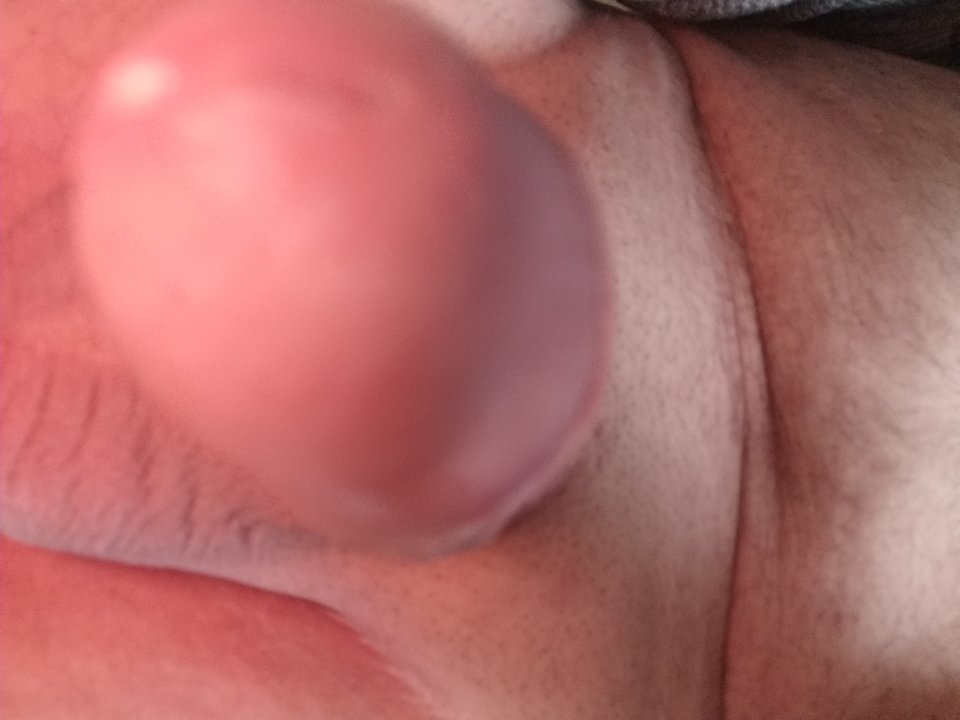 155771821126751784502731167509.jpg - Wojtek7224
