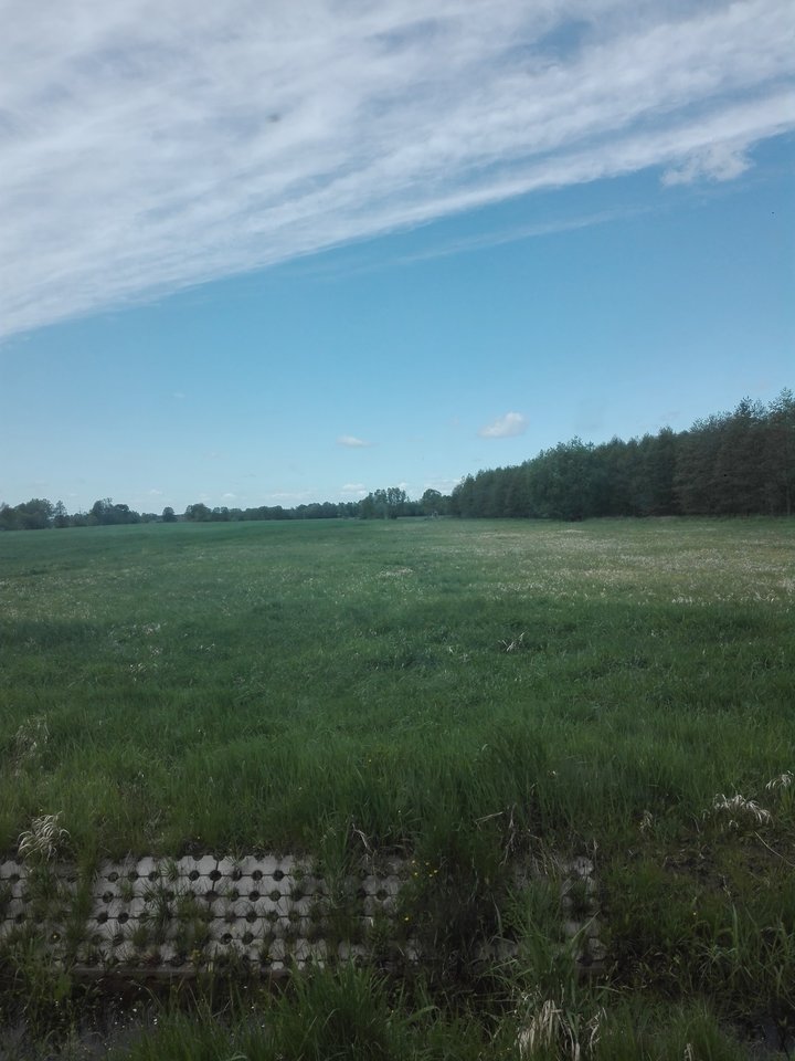 1557738174998-550040223.jpg - Mich1977