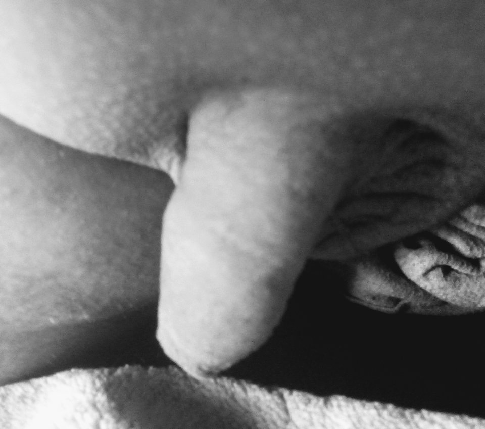 IMG_20190513_110253922~2.jpg - Tygryski8984