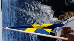IMG-20180529-WA0012.jpeg